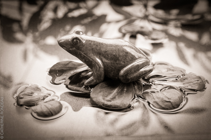 Figurine if a frog sitting on lettuce leaves in a water bassin.