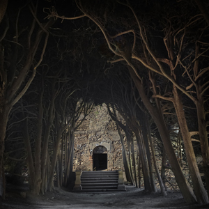 photo de l'artiste chloé beaulac montrant une maison au bout d'une allée d'arbres la nuit