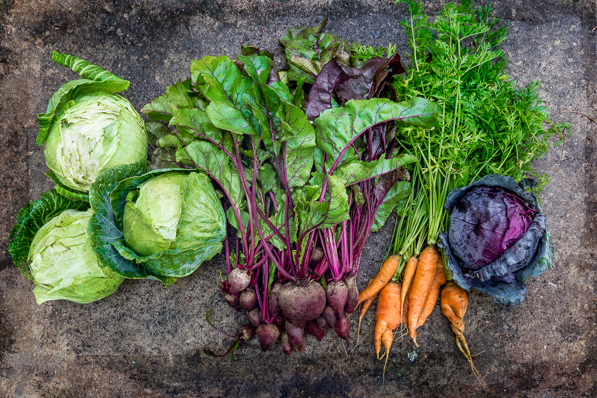 vue en plongée sur des légumes racines