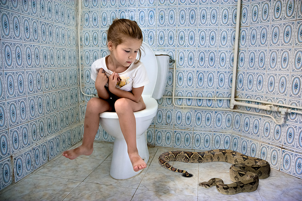 Photo montage of a child sitting on a toilet bowl looking at a snake