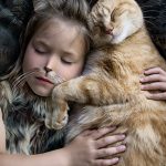Photo montage of a child transformed into a cat alongside another cat