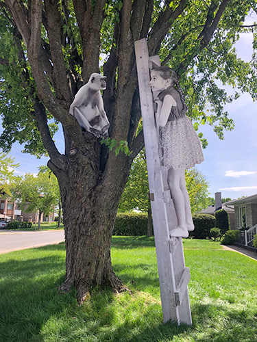 photo d'un singe dans un arbre devant une fillette dans une échelle